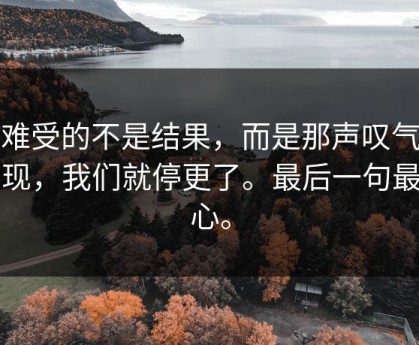 最难受的不是结果，而是那声叹气一出现，我们就停更了。最后一句最扎心。