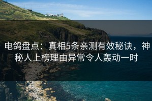 电鸽盘点：真相5条亲测有效秘诀，神秘人上榜理由异常令人轰动一时