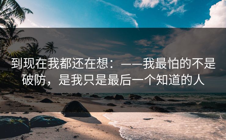 到现在我都还在想：——我最怕的不是破防，是我只是最后一个知道的人