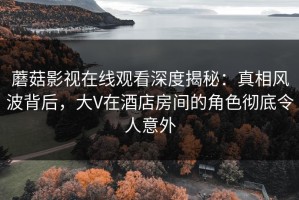 蘑菇影视在线观看深度揭秘：真相风波背后，大V在酒店房间的角色彻底令人意外