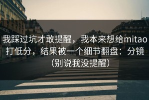 我踩过坑才敢提醒，我本来想给mitao打低分，结果被一个细节翻盘：分镜（别说我没提醒）