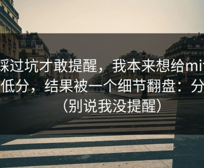 我踩过坑才敢提醒，我本来想给mitao打低分，结果被一个细节翻盘：分镜（别说我没提醒）