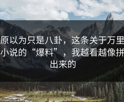 我原以为只是八卦，这条关于万里长征小说的“爆料”，我越看越像拼接出来的