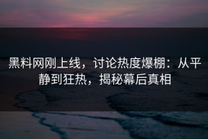 黑料网刚上线，讨论热度爆棚：从平静到狂热，揭秘幕后真相