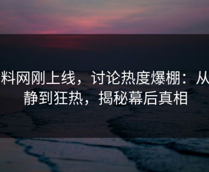 黑料网刚上线，讨论热度爆棚：从平静到狂热，揭秘幕后真相