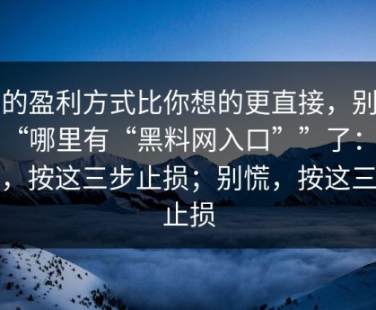 它的盈利方式比你想的更直接，别再问“哪里有“黑料网入口””了：别慌，按这三步止损；别慌，按这三步止损