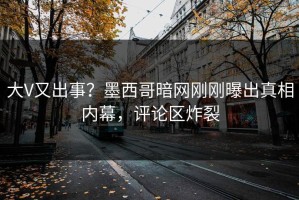 大V又出事？墨西哥暗网刚刚曝出真相内幕，评论区炸裂