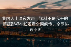 业内人士深夜发声：猛料不是我干的！蘑菇影视在线观看全网疯传，全网热议不断
