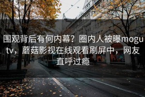 围观背后有何内幕？圈内人被曝mogutv，蘑菇影视在线观看刷屏中，网友直呼过瘾
