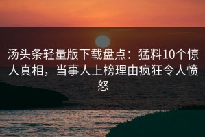 汤头条轻量版下载盘点：猛料10个惊人真相，当事人上榜理由疯狂令人愤怒