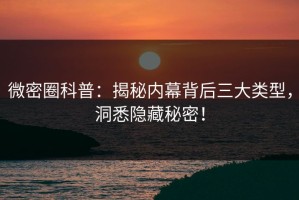微密圈科普：揭秘内幕背后三大类型，洞悉隐藏秘密！