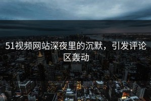 51视频网站深夜里的沉默，引发评论区轰动