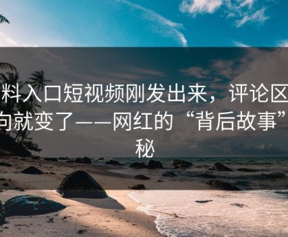 黑料入口短视频刚发出来，评论区的风向就变了——网红的“背后故事”揭秘