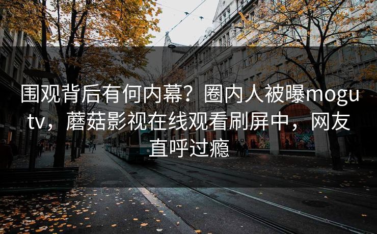 围观背后有何内幕？圈内人被曝mogutv，蘑菇影视在线观看刷屏中，网友直呼过瘾
