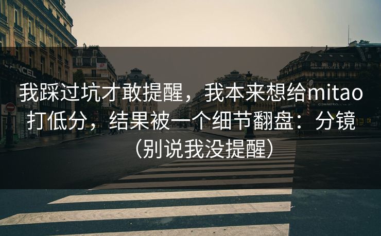 我踩过坑才敢提醒，我本来想给mitao打低分，结果被一个细节翻盘：分镜（别说我没提醒）